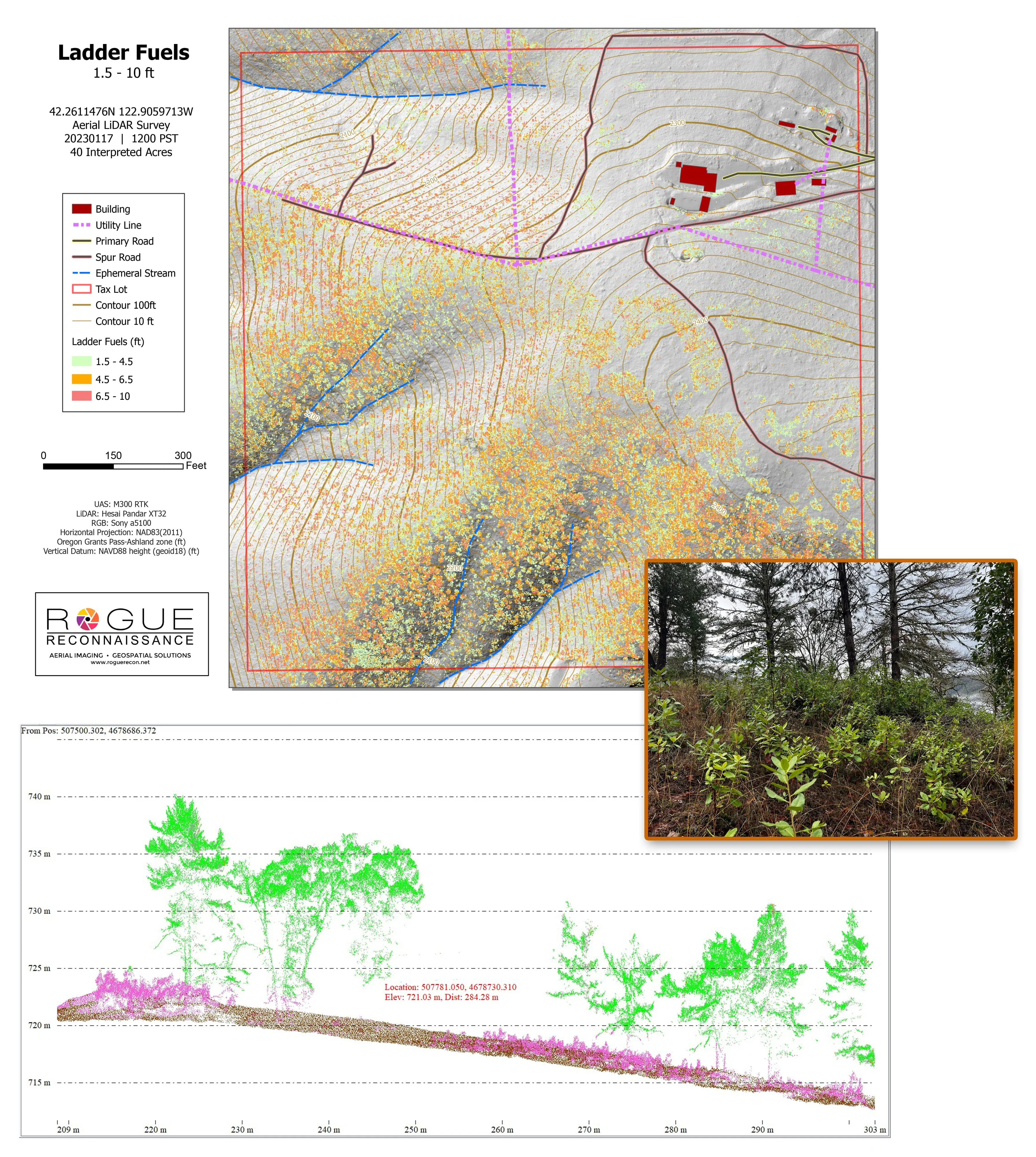 Ladder fuel classification in a LiDAR point cloud on a Medford demonstration property, with a ground photo of the stand inset.
