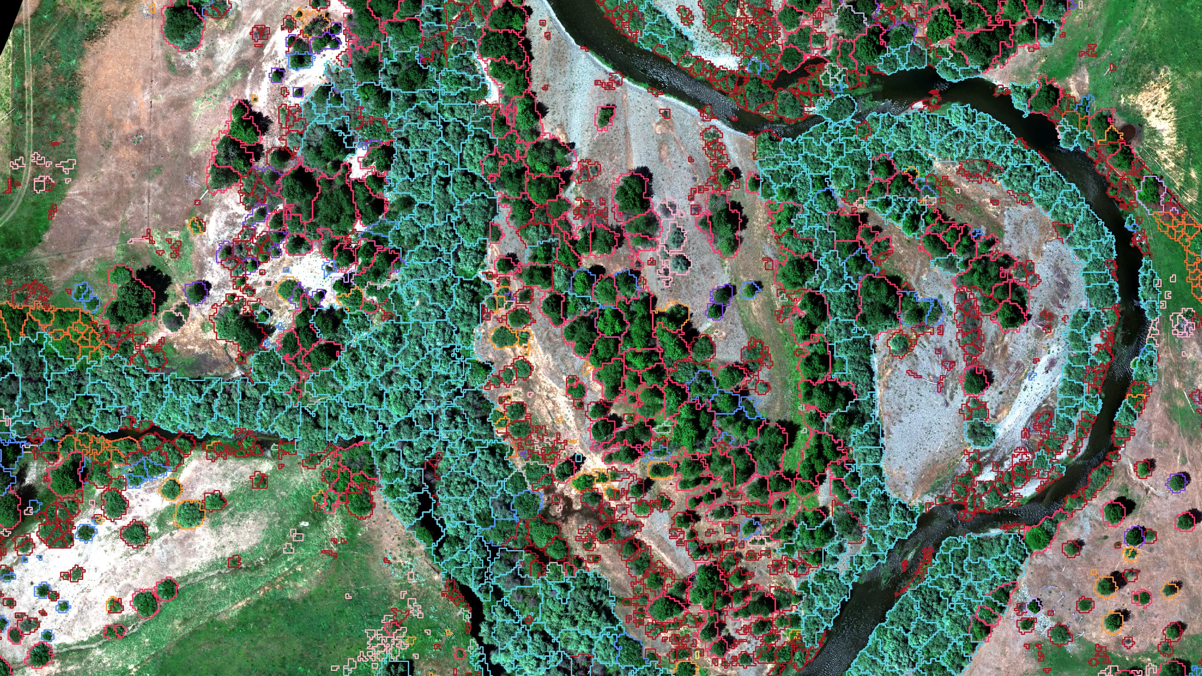 Canopy polygons along a reach of the Scott River colored by dominant species.