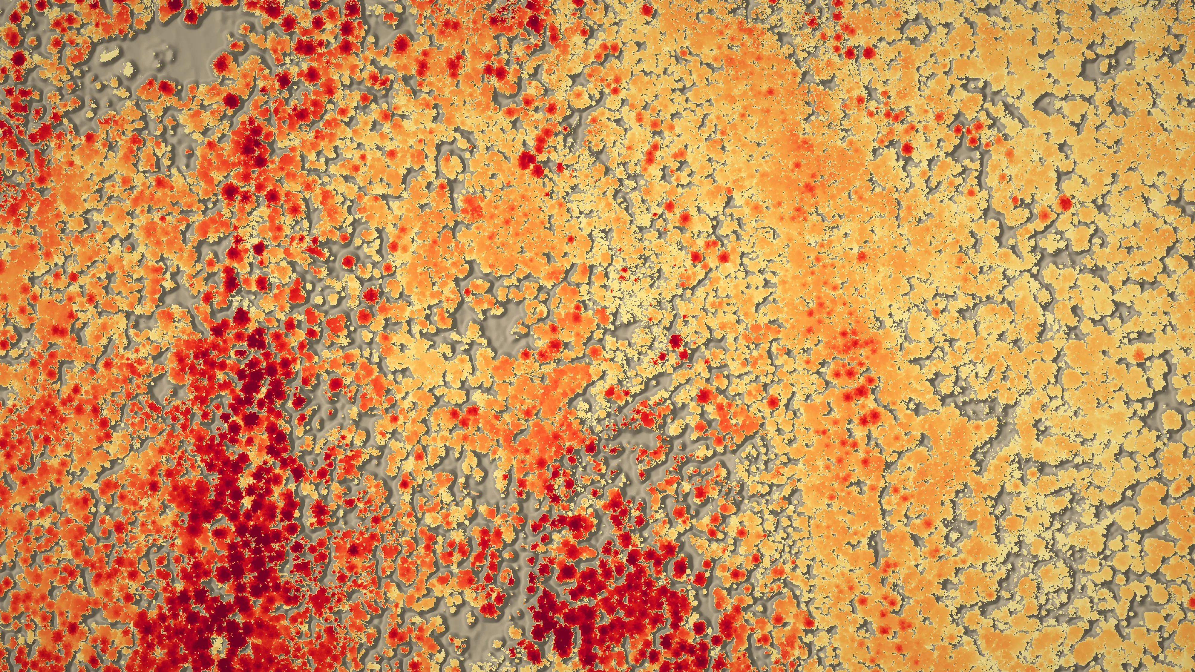 Canopy height model of a forest block drawn flat, pale yellow for the lowest brush through orange to deep red for the tallest crowns, with bare ground in grey.