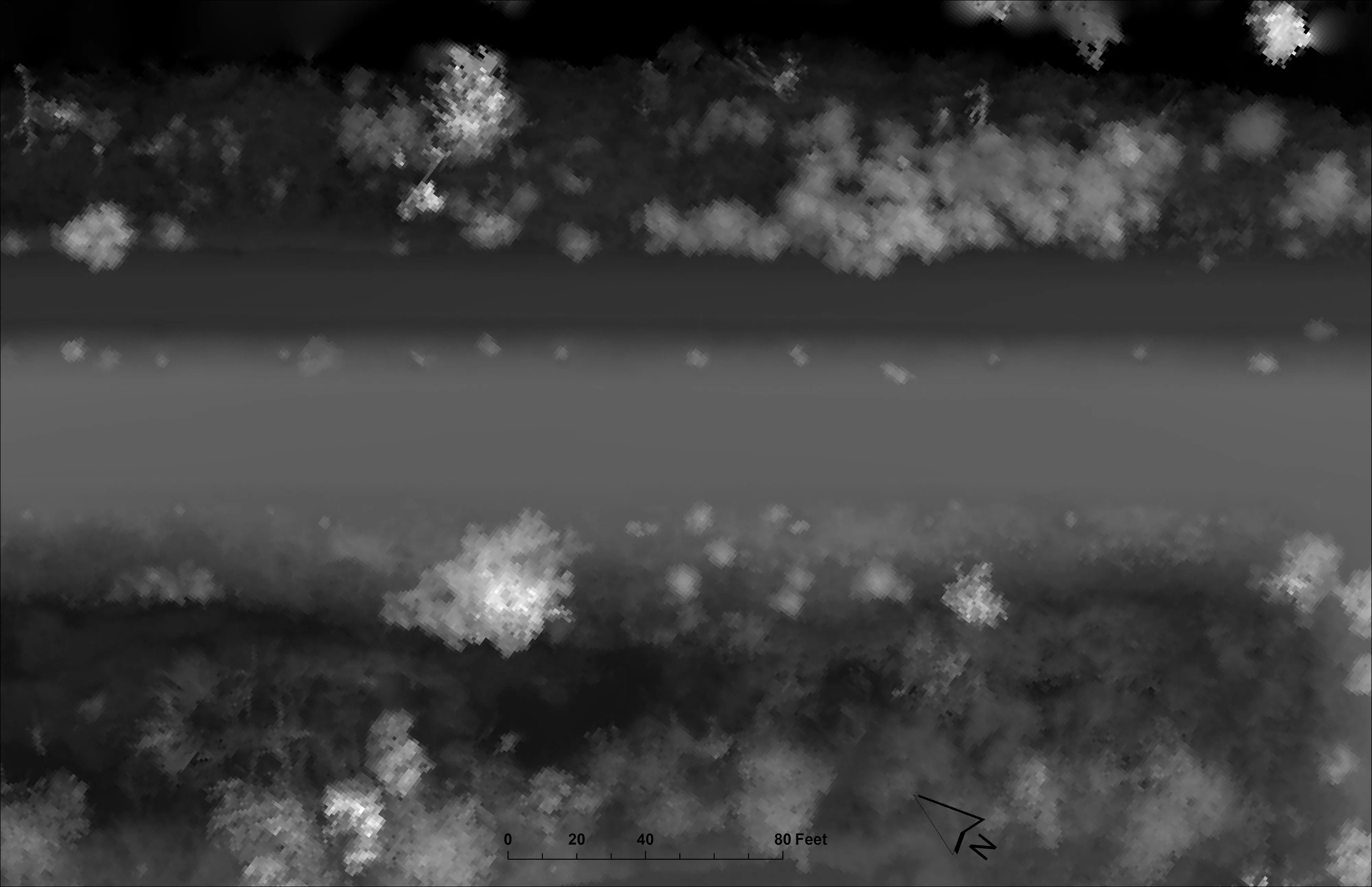 Surface model of the Phoenix corridor with the trees and structures standing above the ground.