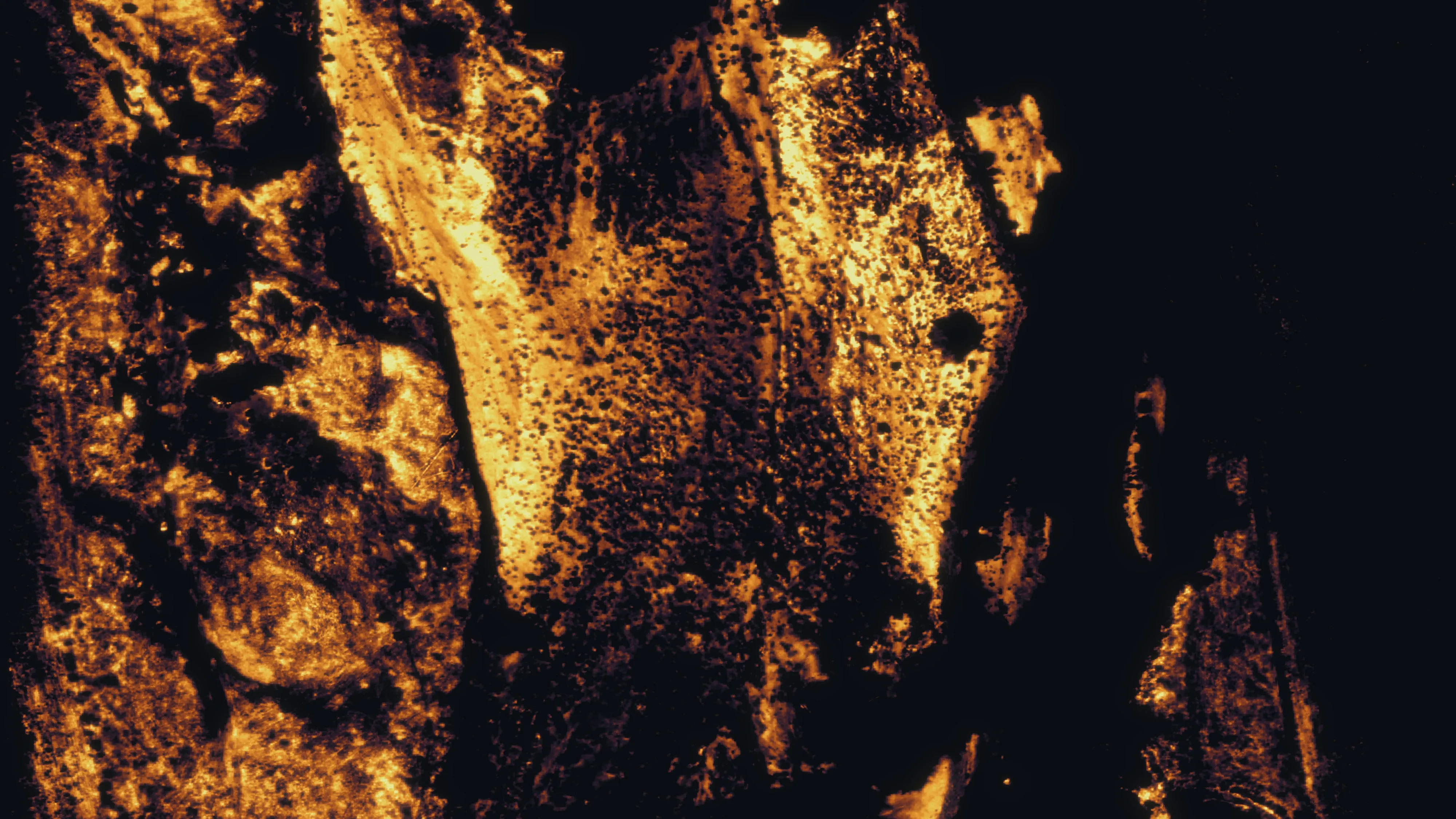 Afternoon thermal mosaic of a river reach: the channel dark and cool, bars and open ground warm, cool tongues along the bank.