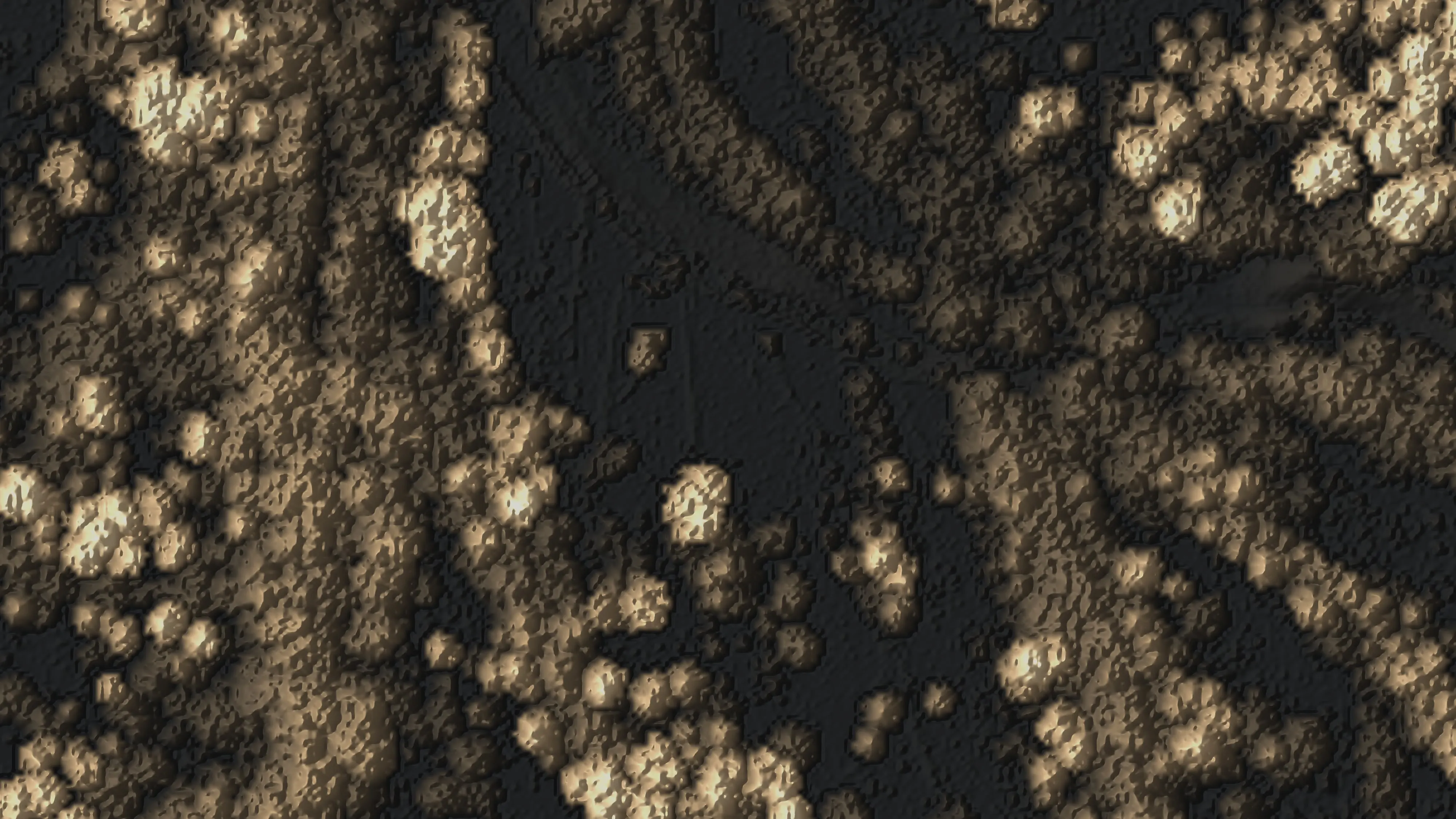 Canopy height model of the river corridor, every crown standing in relief and toned by height.